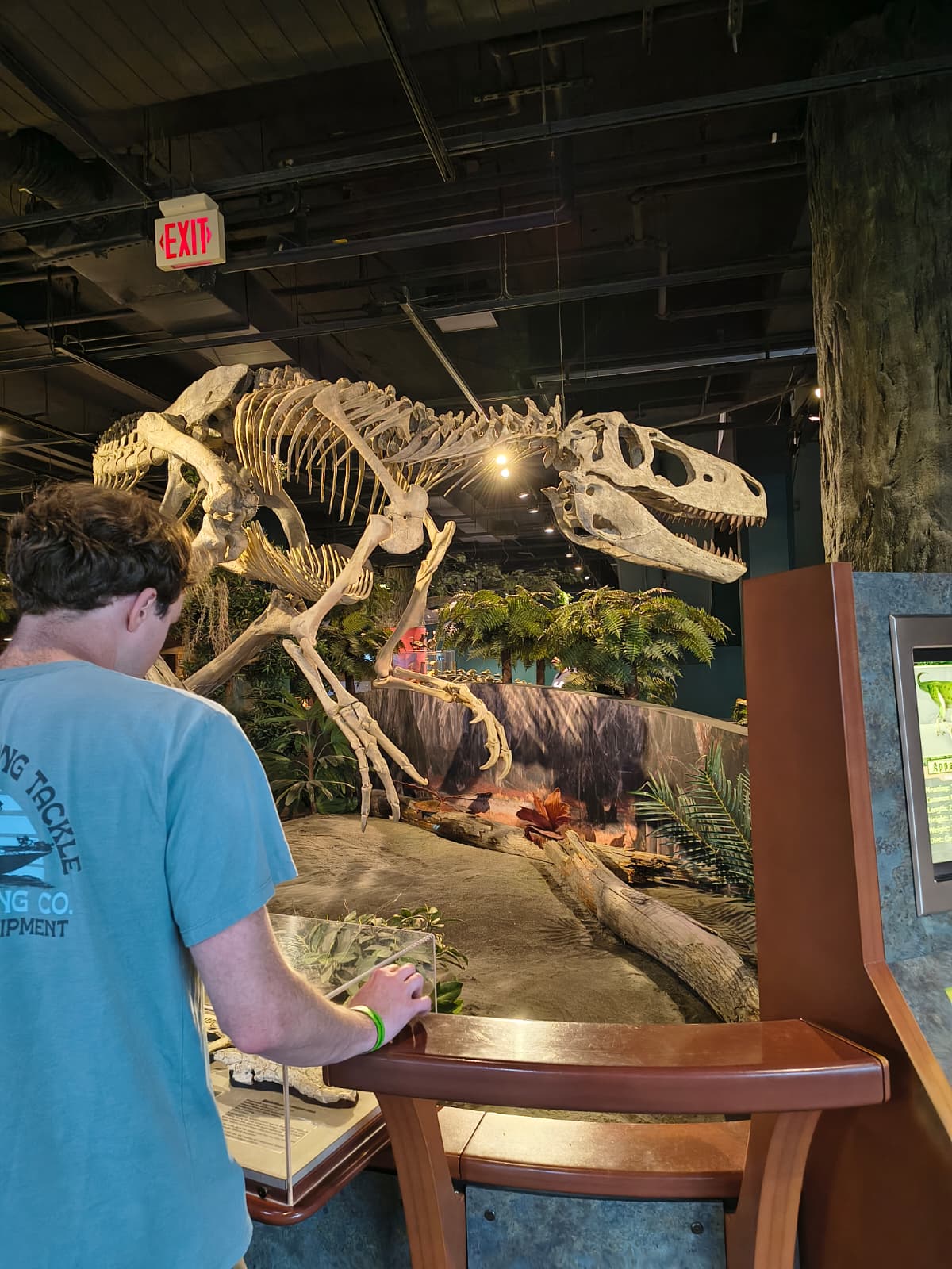guy looking at dinosaur skeleton